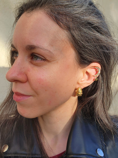 AUDE